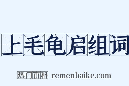 上毛龟启组词是什么意思的图片